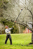 Motosierra Telescópica Eléctrica Oregon 8"